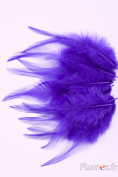 Coq - 8-12 cm - violet